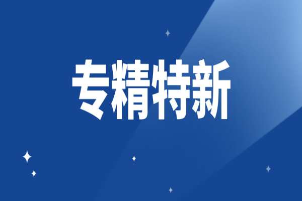 廣東省深化支持專精特新企業(yè)融資服務(wù)行動計劃