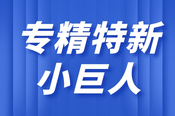 專精特新小巨人企業(yè)的主要特征，小巨人企業(yè)的重點領域