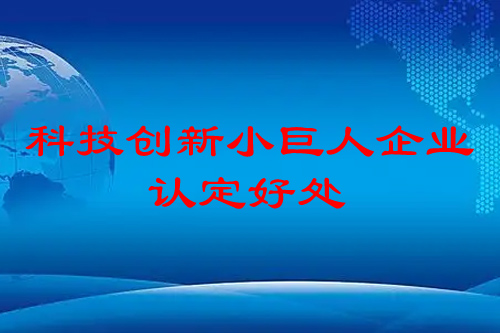 科技創(chuàng)新小巨人企業(yè)認定有什么好處