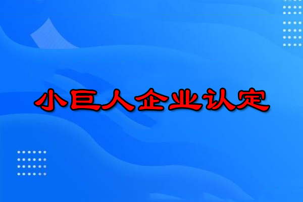 小巨人企業(yè)認(rèn)定