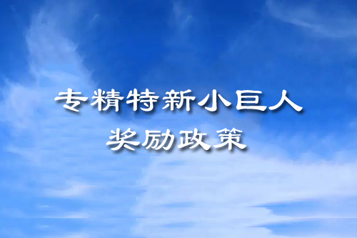 專精特新小巨人獎(jiǎng)勵(lì)政策（廣東省、廣州市、黃埔區(qū)、開發(fā)區(qū)）