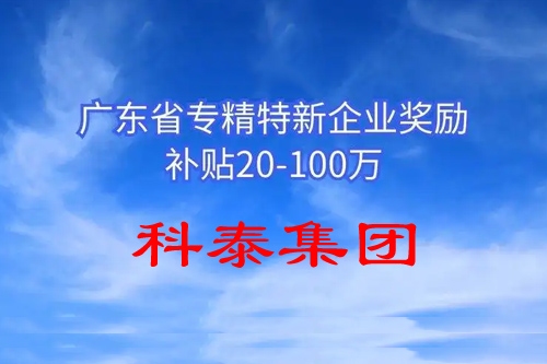 省級專精特新企業(yè)有什么補助