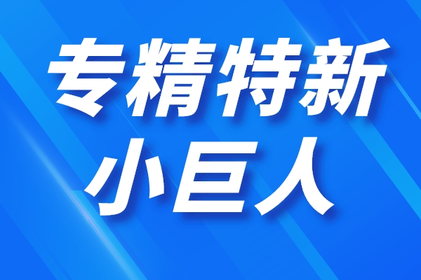 深圳市第四批專精特新“小巨人”企業(yè)和第一批專精特新“小巨人”復(fù)核通過企業(yè)名單公示