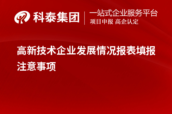 高新技術(shù)企業(yè)發(fā)展情況報表填報注意事項