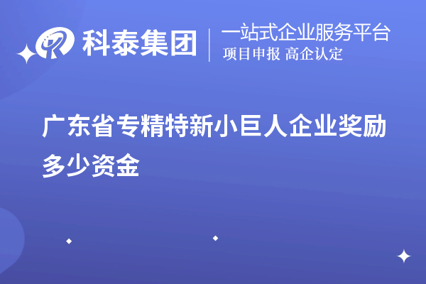 廣東省專精特新小巨人企業(yè)獎勵多少資金