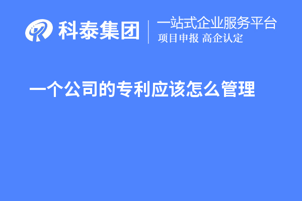 一個(gè)公司的專利應(yīng)該怎么管理