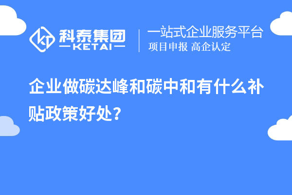 企業(yè)做碳達(dá)峰和碳中和有什么補(bǔ)貼政策好處？