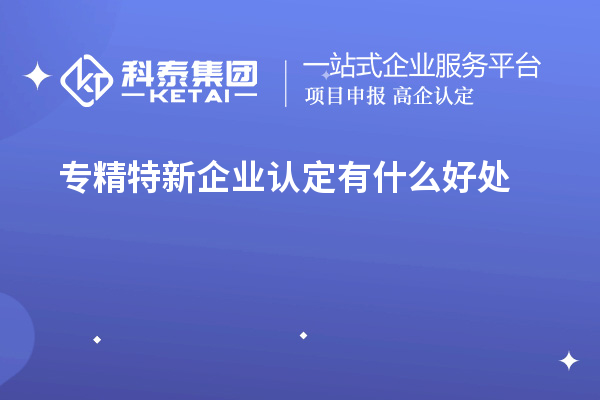 專精特新企業(yè)認(rèn)定有什么好處