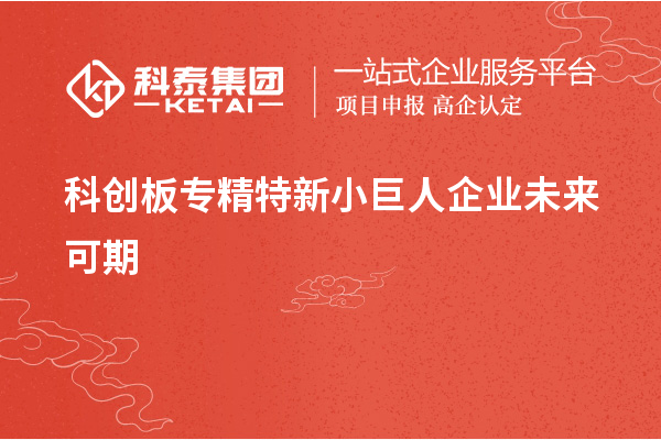 科創(chuàng)板專精特新小巨人企業(yè)未來可期