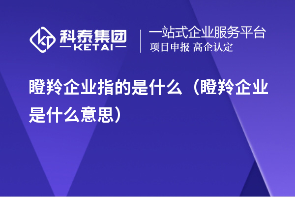 瞪羚企業(yè)指的是什么（瞪羚企業(yè)是什么意思）