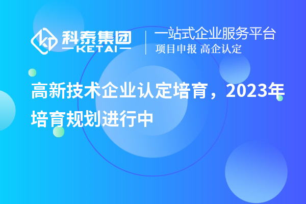 高新技術(shù)企業(yè)認(rèn)定培育，2023年培育規(guī)劃進(jìn)行中