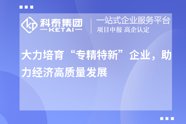 大力培育“專精特新”企業(yè)，助力經(jīng)濟(jì)高質(zhì)量發(fā)展