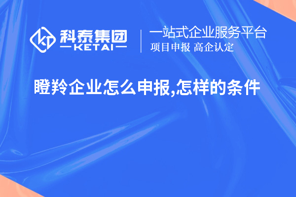 瞪羚企業(yè)怎么申報,怎樣的條件