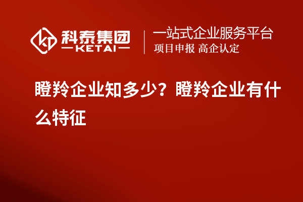 瞪羚企業(yè)知多少？瞪羚企業(yè)有什么特征