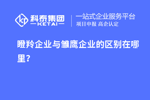 瞪羚企業(yè)與雛鷹企業(yè)的區(qū)別在哪里？