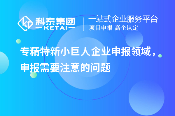 專精特新小巨人企業(yè)申報(bào)領(lǐng)域，申報(bào)需要注意的問(wèn)題