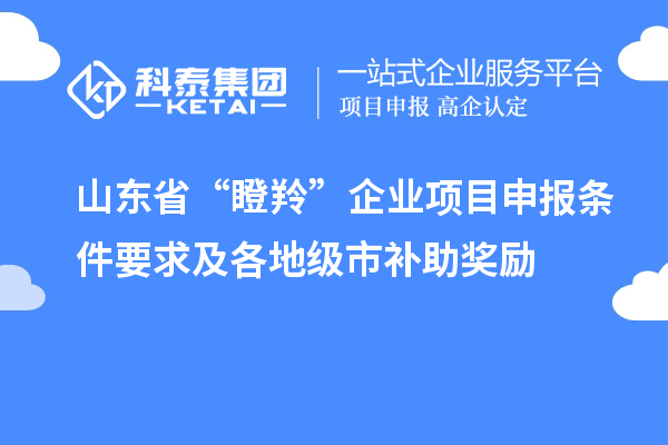 山東省“瞪羚”企業(yè)<a href=http://armta.com/shenbao.html target=_blank class=infotextkey>項(xiàng)目申報(bào)</a>條件要求及各地級(jí)市補(bǔ)助獎(jiǎng)勵(lì)