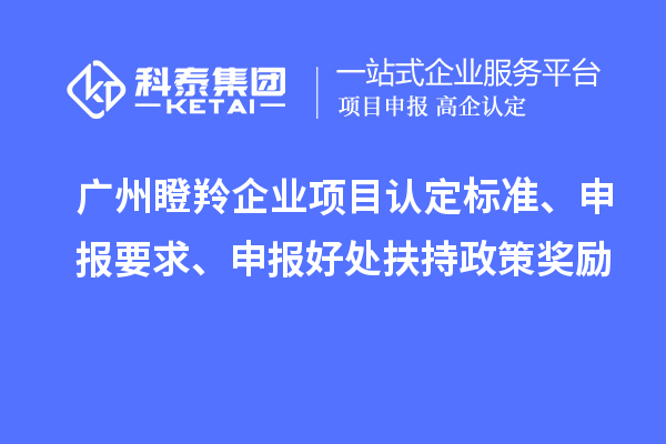 廣州瞪羚企業(yè)項(xiàng)目認(rèn)定標(biāo)準(zhǔn)、申報(bào)要求、申報(bào)好處扶持政策獎勵