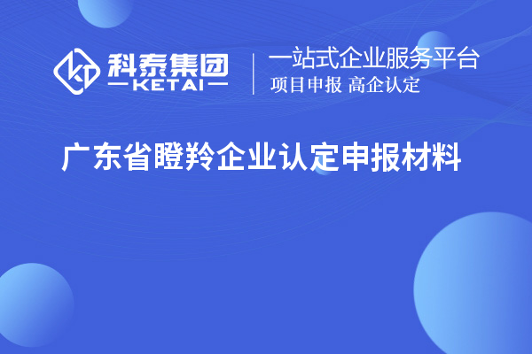 廣東省<a href=http://armta.com/fuwu/dengling.html target=_blank class=infotextkey>瞪羚企業(yè)認(rèn)定</a>申報(bào)材料