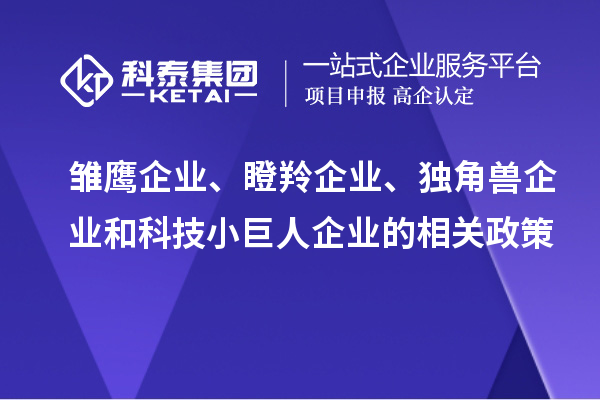 雛鷹企業(yè)、瞪羚企業(yè)、獨(dú)角獸企業(yè)和科技小巨人企業(yè)的相關(guān)政策