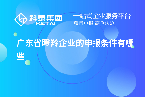 廣東省瞪羚企業(yè)的申報(bào)條件有哪些