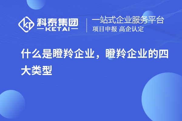 什么是瞪羚企業(yè)，瞪羚企業(yè)的四大類型