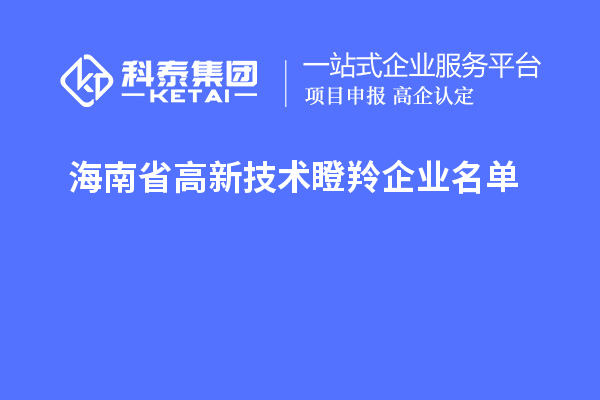 海南省高新技術(shù)瞪羚企業(yè)名單