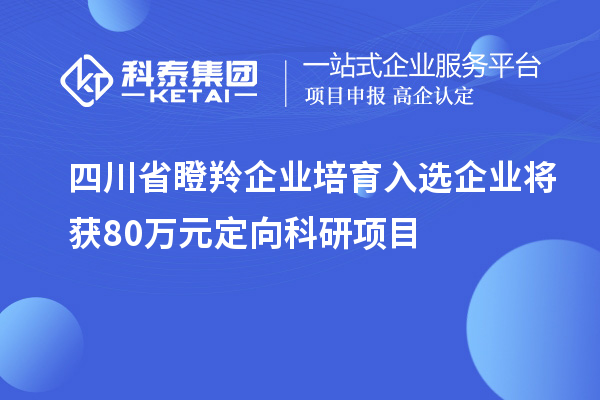 四川省瞪羚企業(yè)培育入選企業(yè)將獲80萬元定向科研項目