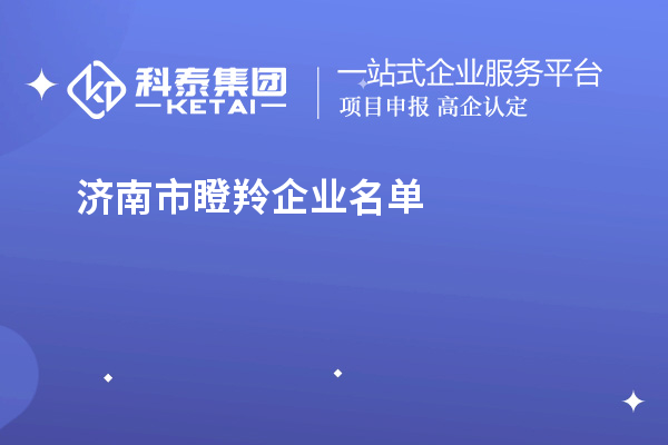 濟(jì)南市瞪羚企業(yè)名單