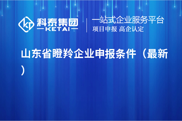 山東省瞪羚企業(yè)申報條件（最新）