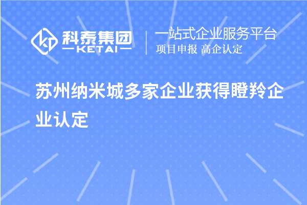 蘇州納米城多家企業(yè)獲得<a href=http://armta.com/fuwu/dengling.html target=_blank class=infotextkey>瞪羚企業(yè)認定</a>