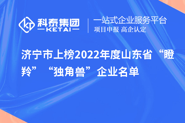 濟(jì)寧市上榜2022年度山東省“瞪羚”“獨(dú)角獸”企業(yè)名單