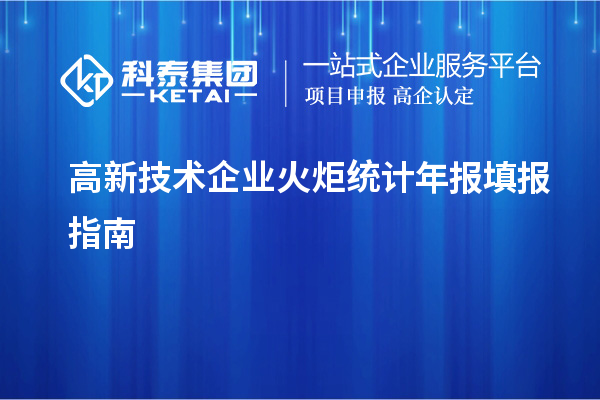 高新技術(shù)企業(yè)火炬統(tǒng)計(jì)年報(bào)填報(bào)指南