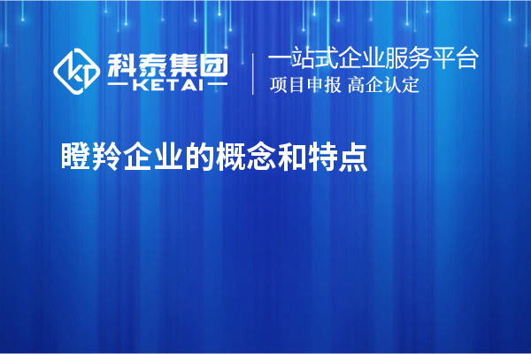 瞪羚企業(yè)的概念和特點(diǎn)