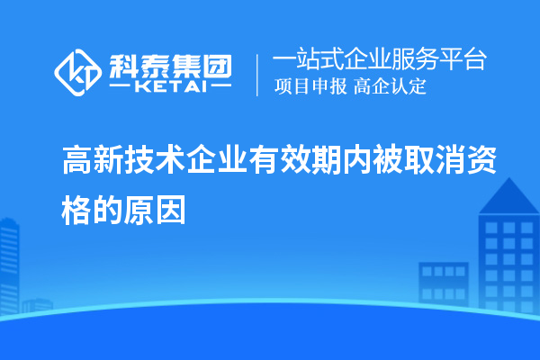 高新技術(shù)企業(yè)有效期內(nèi)被取消資格的原因