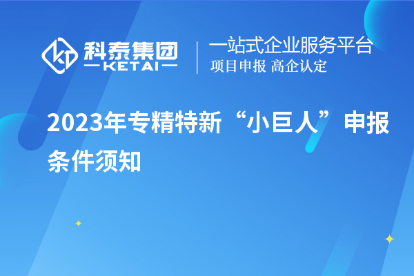 2023年專精特新“小巨人”申報條件須知