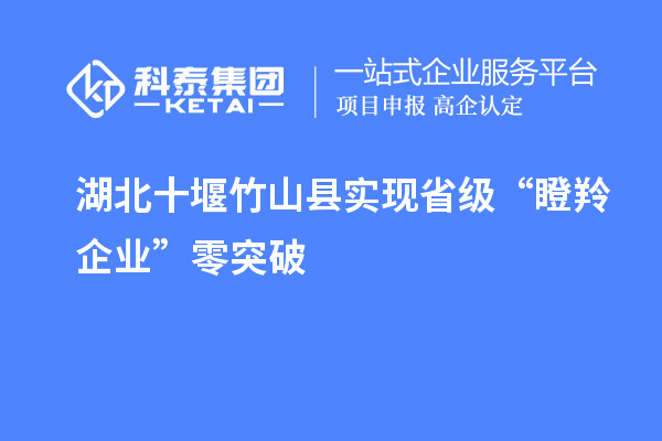 湖北十堰竹山縣實(shí)現(xiàn)省級(jí)“瞪羚企業(yè)”零突破