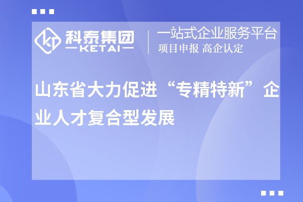 山東省大力促進(jìn)“專精特新”企業(yè)人才復(fù)合型發(fā)展