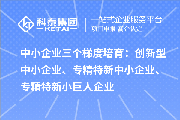 中小企業(yè)三個梯度培育：創(chuàng)新型中小企業(yè)、專精特新中小企業(yè)、專精特新小巨人企業(yè)