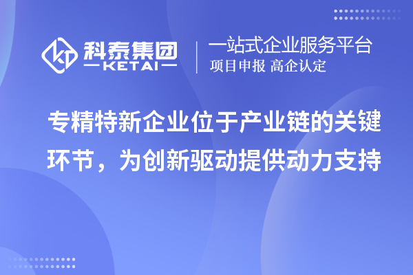 專精特新企業(yè)位于產(chǎn)業(yè)鏈的關(guān)鍵環(huán)節(jié)，為創(chuàng)新驅(qū)動(dòng)提供動(dòng)力支持