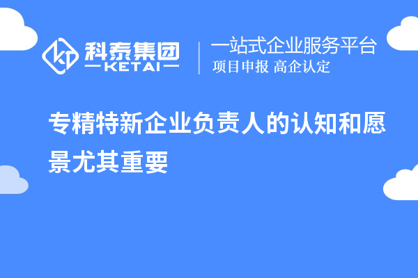 專精特新企業(yè)負責(zé)人的認知和愿景尤其重要