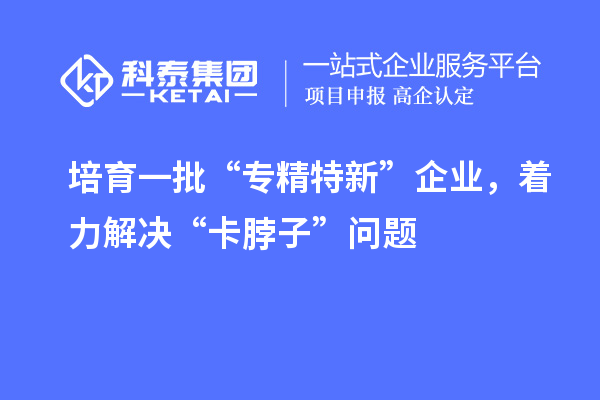 培育一批“專精特新”企業(yè)，著力解決“卡脖子”問(wèn)題