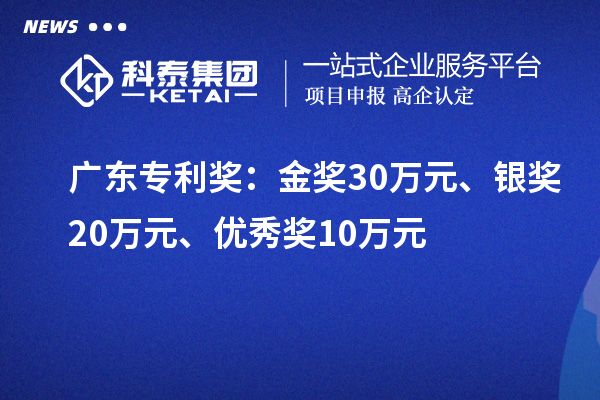 廣東專(zhuān)利獎(jiǎng)：金獎(jiǎng)30萬(wàn)元、銀獎(jiǎng)20萬(wàn)元、優(yōu)秀獎(jiǎng)10萬(wàn)元（省級(jí)）