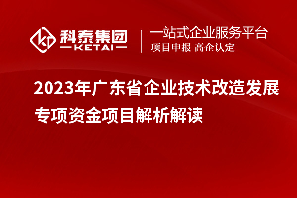 2023年廣東省企業(yè)技術(shù)改造發(fā)展專(zhuān)項(xiàng)資金項(xiàng)目解析解讀