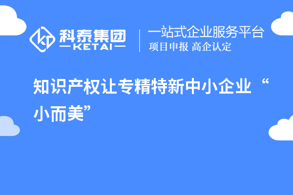 知識(shí)產(chǎn)權(quán)讓專精特新中小企業(yè)“小而美”