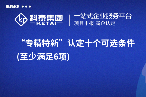 “專精特新”認(rèn)定十個(gè)可選條件(至少滿足6項(xiàng))