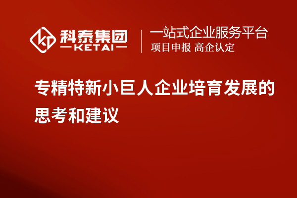 專精特新小巨人企業(yè)培育發(fā)展的思考和建議