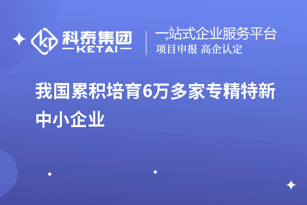 我國累積培育6萬多家專精特新中小企業(yè)