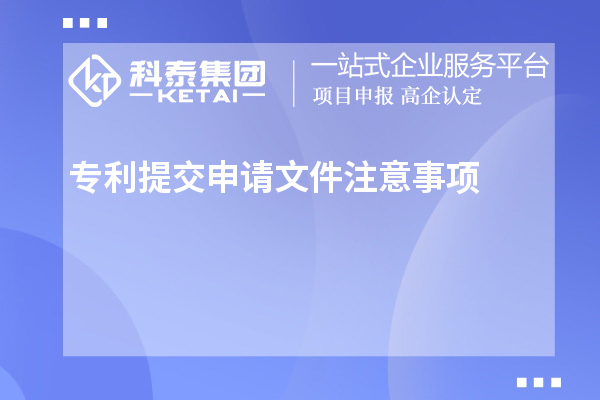 專利提交申請文件注意事項