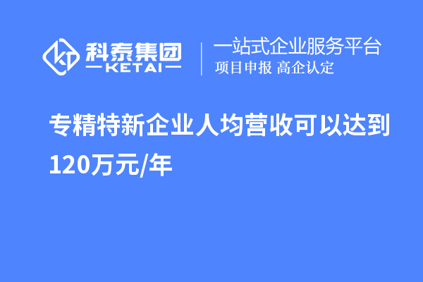 專精特新企業(yè)人均營收可以達(dá)到 120萬元/年